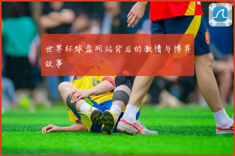 世界杯球盘网站背后的激情与博弈故事