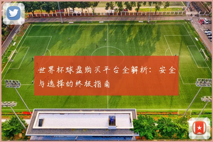 世界杯球盘购买平台全解析:安全与选择的终极指南
