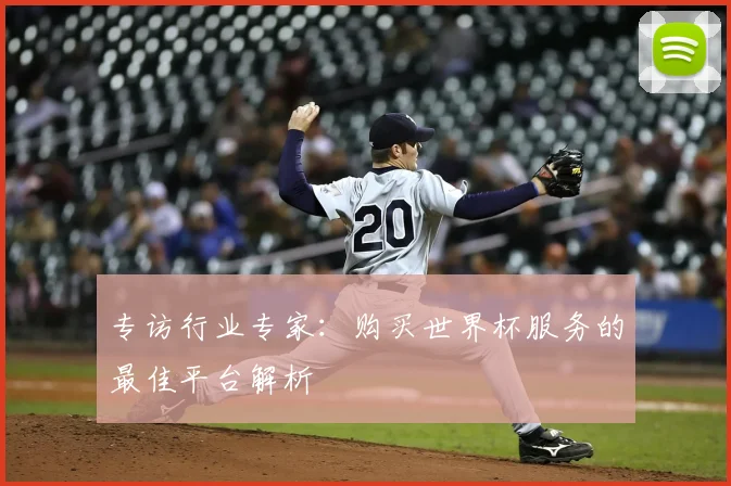 专访行业专家:购买世界杯服务的最佳平台解析