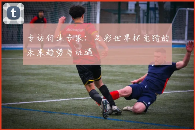 专访行业专家:足彩世界杯竞猜的未来趋势与机遇