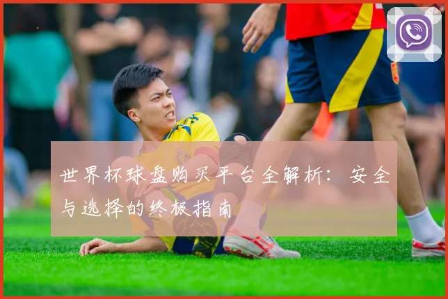 世界杯球盘购买平台全解析:安全与选择的终极指南