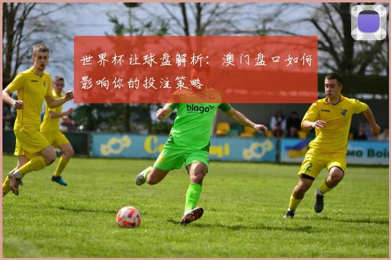 世界杯让球盘解析:澳门盘口如何影响你的投注策略