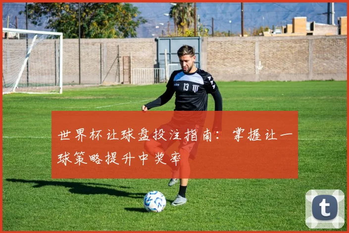 世界杯让球盘投注指南:掌握让一球策略提升中奖率
